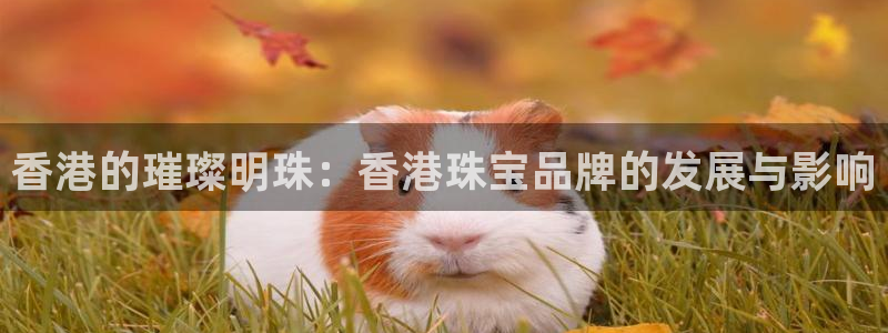 新宝5测速登录