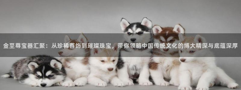 新宝5平台注册：金至尊宝器汇聚：从珍稀首饰到璀璨珠宝，带你领略中国传统文化的博大