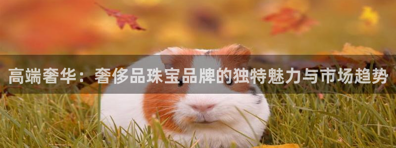新宝5 888：高端奢华：奢侈品珠宝品牌的独特魅力与市场趋势