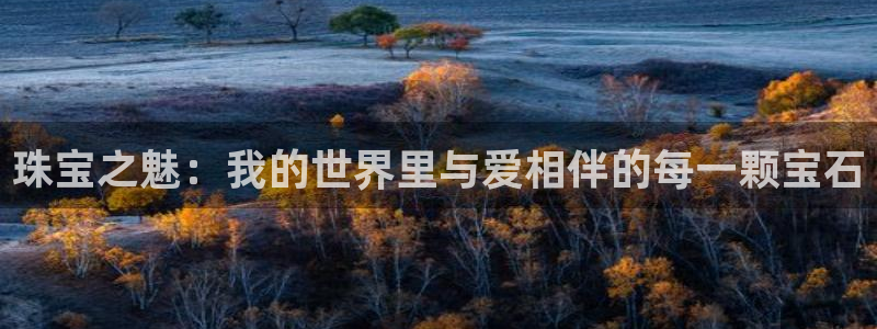 新宝5娱乐经：珠宝之魅：我的世界里与爱相伴的每一颗宝石