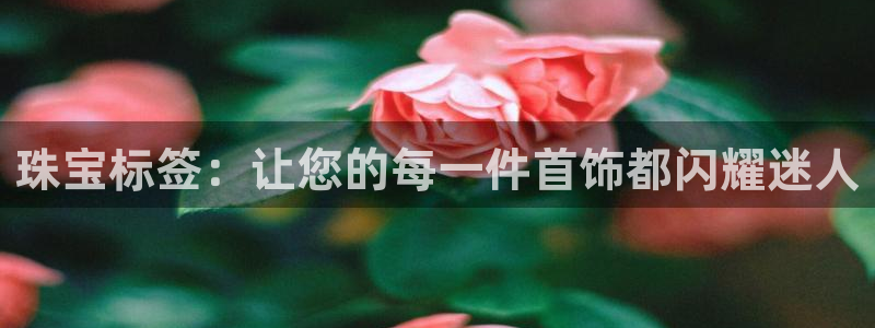 新宝5测登录：珠宝标签：让您的每一件首饰都闪耀迷人