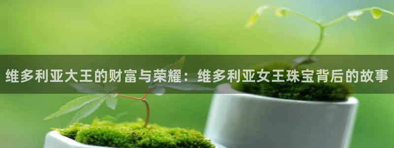 新宝5下载 迅雷下载：维多利亚大王的财富与荣耀：维多利亚女王珠宝背后的故事