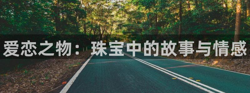 新宝5链接：爱恋之物：珠宝中的故事与情感