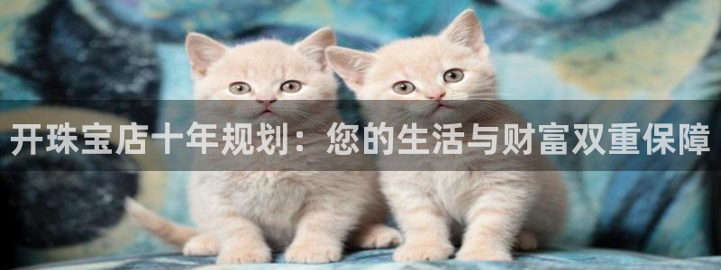 新宝5侹刔：开珠宝店十年规划：您的生活与财富双重保障