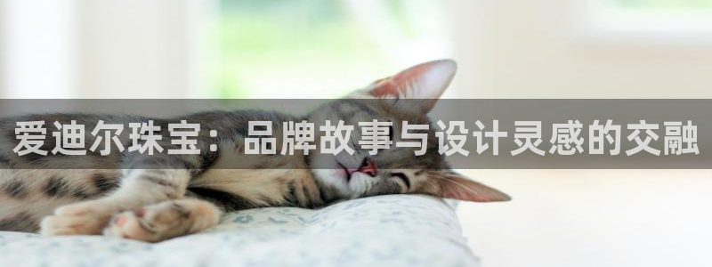 新宝5电脑登录网址：爱迪尔珠宝：品牌故事与设计灵感的交融
