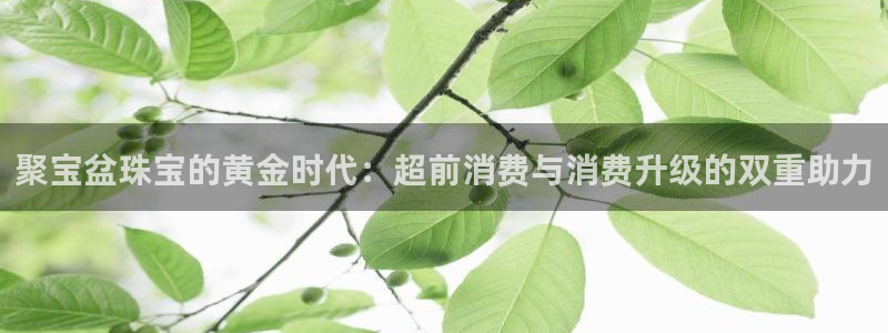 新宝5上来77542：聚宝盆珠宝的黄金时代：超前消费与消费升级的双重助力