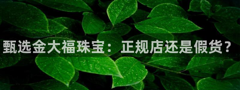 新宝5苹果手机下载：甄选金大福珠宝：正规店还是假货？