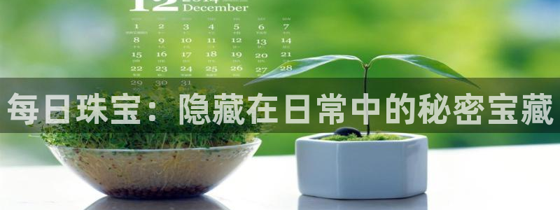 新宝5娱乐没：每日珠宝：隐藏在日常中的秘密宝藏