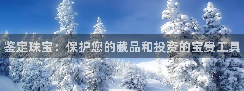 新宝5是谁的：鉴定珠宝：保护您的藏品和投资的宝贵工具