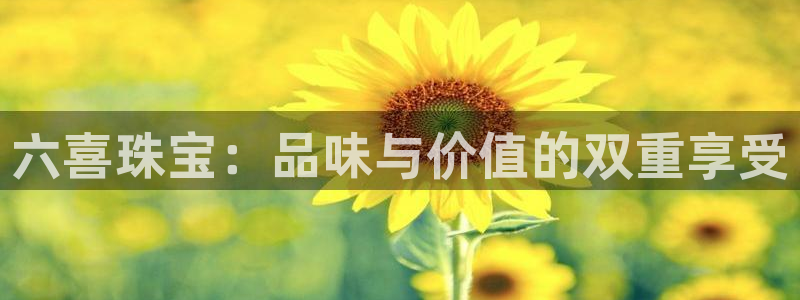 新5宝：六喜珠宝：品味与价值的双重享受