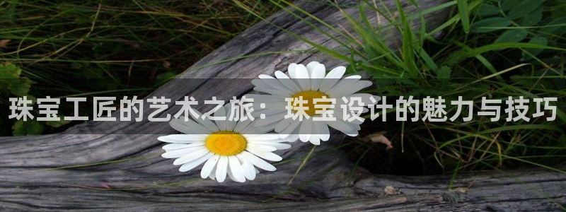 新宝5怎么下载到桌面：珠宝工匠的艺术之旅：珠宝设计的魅力与技巧