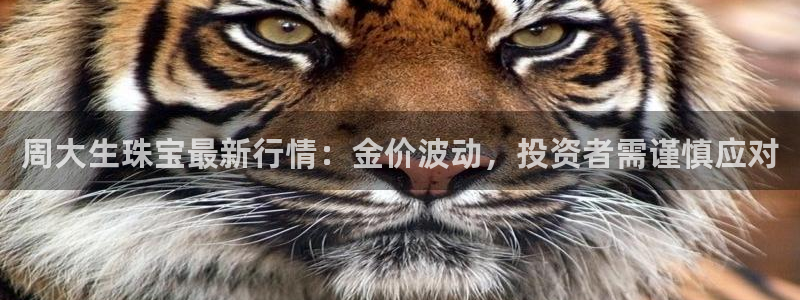 新宝5线路登录检测：周大生珠宝最新行情：金价波动，投资者需谨慎应对