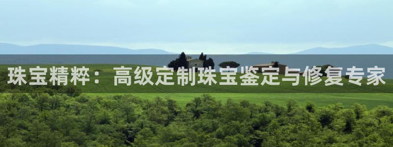 新宝5分彩：珠宝精粹：高级定制珠宝鉴定与修复专家