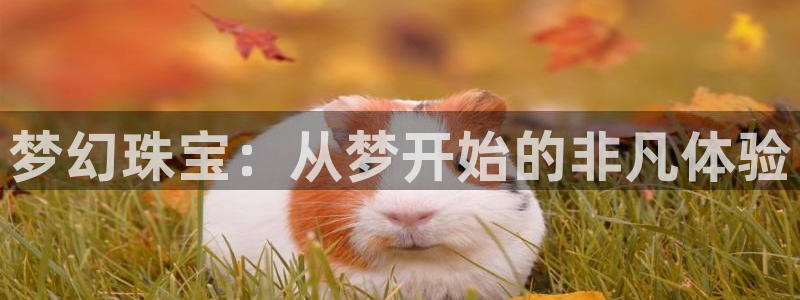 新宝5招商222111：梦幻珠宝：从梦开始的非凡体验