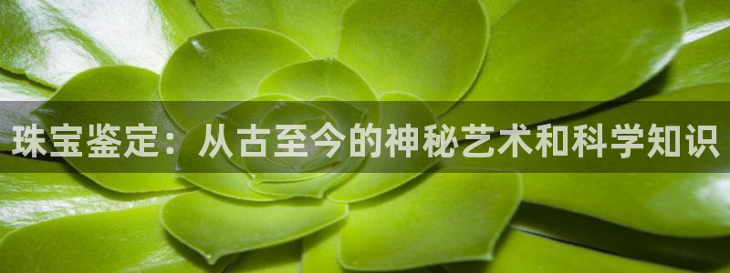 新宝G5：珠宝鉴定：从古至今的神秘艺术和科学知识