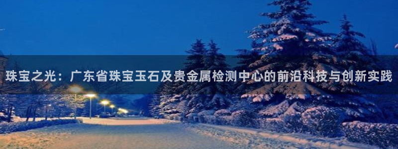 新宝5找找74OOO5：珠宝之光：广东省珠宝玉石及贵金属检测中心的前沿科技与创新
