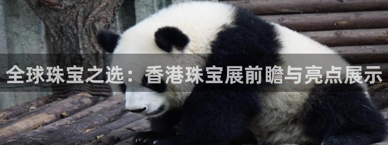 新宝5网址：全球珠宝之选：香港珠宝展前瞻与亮点展示