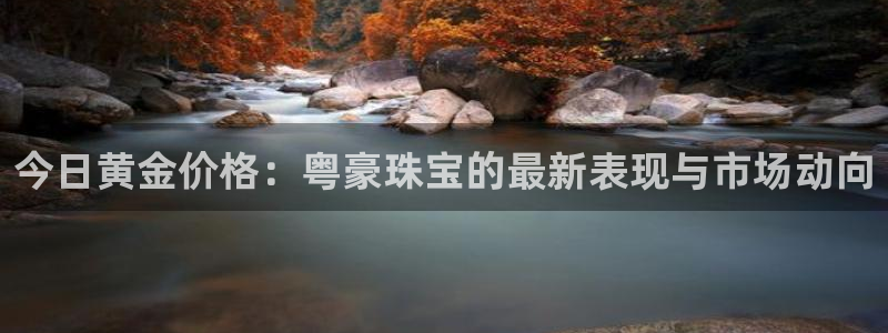 新宝5苹果手机下载：今日黄金价格：粤豪珠宝的最新表现与市场动向