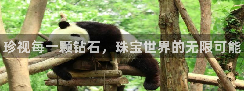 新宝5娱乐招商：珍视每一颗钻石，珠宝世界的无限可能