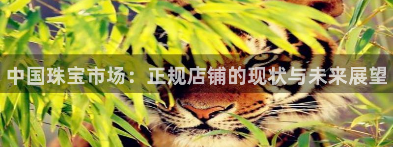 新宝5娱乐如：中国珠宝市场：正规店铺的现状与未来展望
