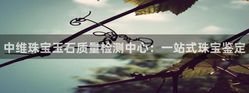 新宝5登录霸：中维珠宝玉石质量检测中心：一站式珠宝鉴定
