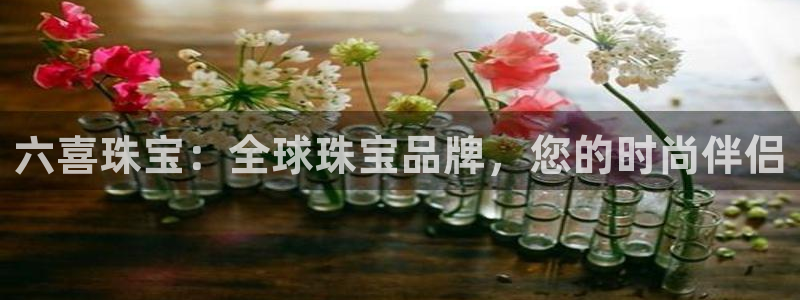 新宝集团新宝5：六喜珠宝：全球珠宝品牌，您的时尚伴侣