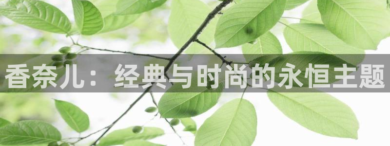 新宝5直属：香奈儿：经典与时尚的永恒主题