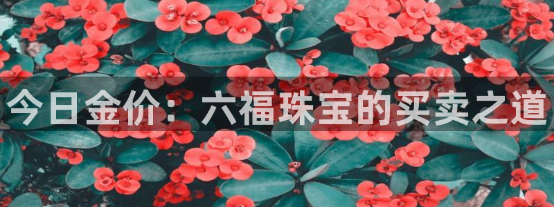 新宝股东瞧听2 5 5：今日金价：六福珠宝的买卖之道
