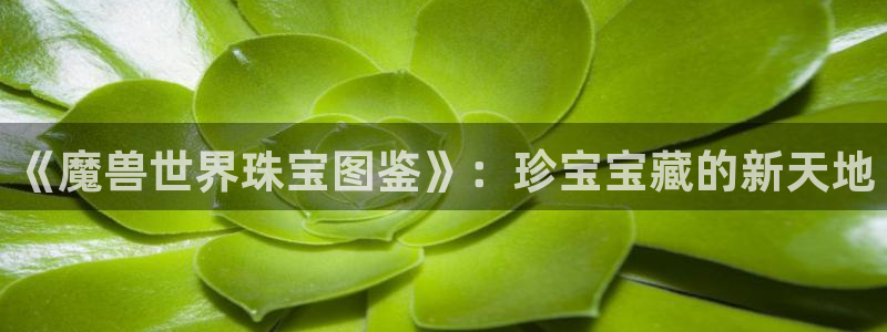 新宝5平台登录：《魔兽世界珠宝图鉴》：珍宝宝藏的新天地