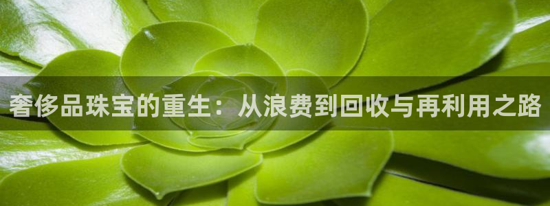新宝5娱乐家：奢侈品珠宝的重生：从浪费到回收与再利用之路