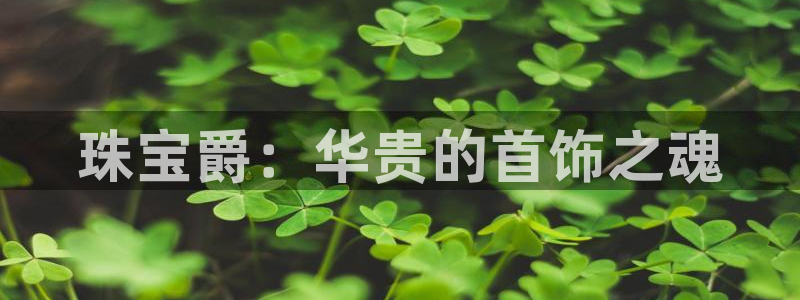 新宝骏rc5W：珠宝爵：华贵的首饰之魂