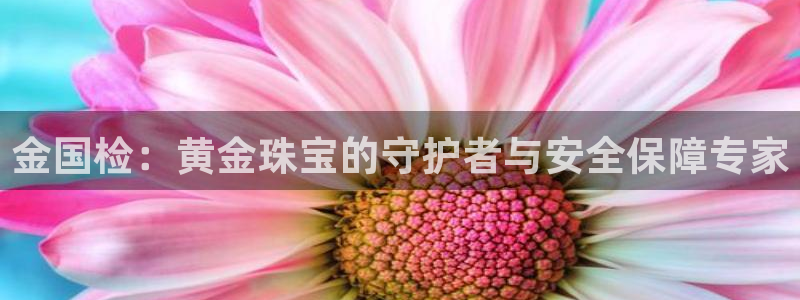 菲律宾新宝5老板：金国检：黄金珠宝的守护者与安全保障专家