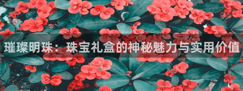 新宝5app：璀璨明珠：珠宝礼盒的神秘魅力与实用价值