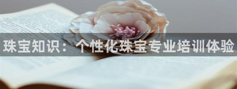 新宝5手机版：珠宝知识：个性化珠宝专业培训体验