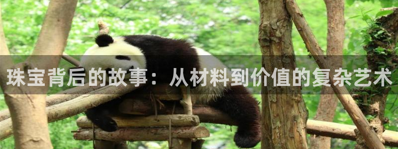 新宝测速5：珠宝背后的故事：从材料到价值的复杂艺术