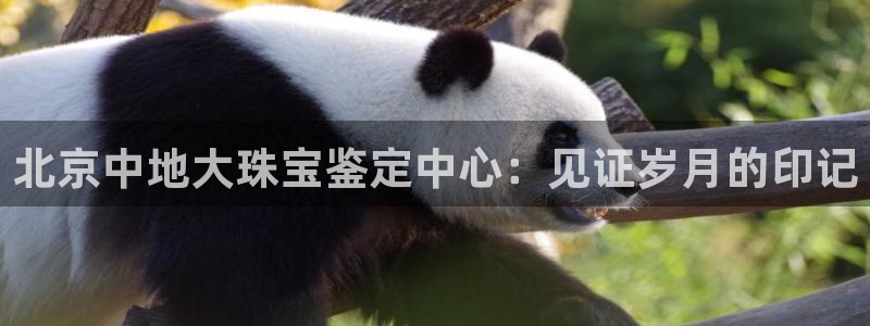 新宝5是什么：北京中地大珠宝鉴定中心：见证岁月的印记
