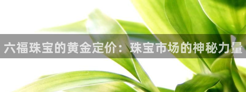 新宝5在哪里：六福珠宝的黄金定价：珠宝市场的神秘力量
