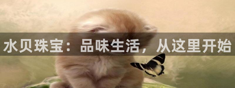 新宝5注册链接：水贝珠宝：品味生活，从这里开始