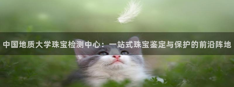 新宝5测速登陆：中国地质大学珠宝检测中心：一站式珠宝鉴定与保护的前沿阵地