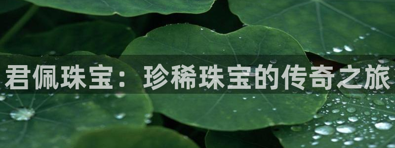 新宝G5：君佩珠宝：珍稀珠宝的传奇之旅