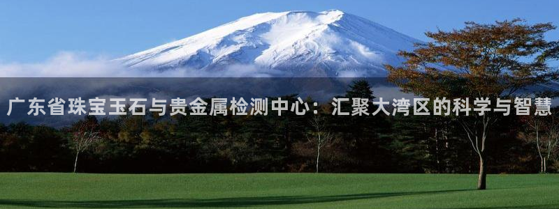 新宝5官网平台：广东省珠宝玉石与贵金属检测中心：汇聚大湾区的科学与智慧