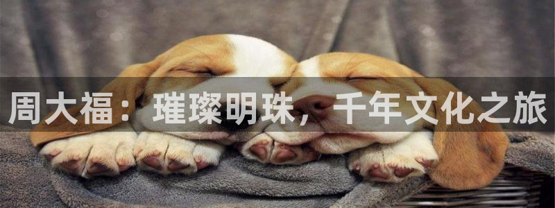新宝5授权：周大福：璀璨明珠，千年文化之旅