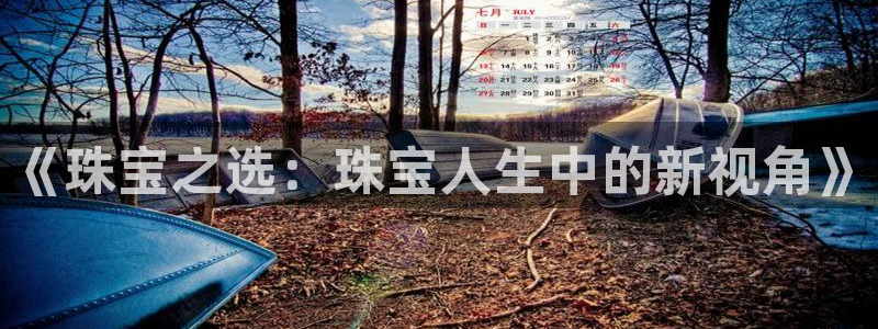 新宝5娱乐没：《珠宝之选：珠宝人生中的新视角》