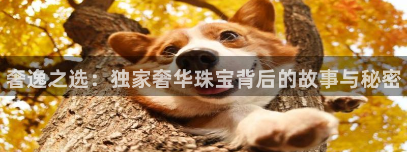 股票5G宝新：奢逸之选：独家奢华珠宝背后的故事与秘密