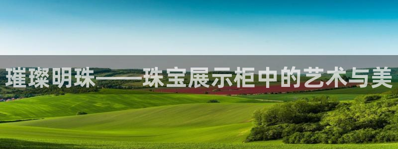 新宝5官网67五壹叁八：璀璨明珠——珠宝展示柜中的艺术与美