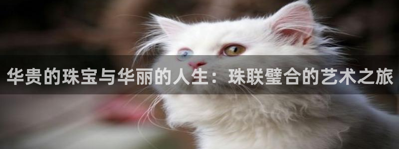 新宝5测速登录：华贵的珠宝与华丽的人生：珠联璧合的艺术之旅