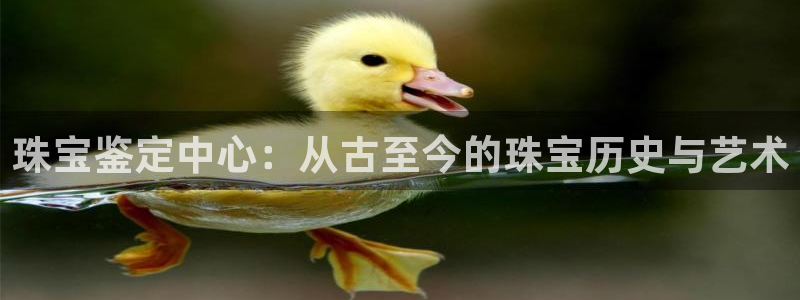 新宝gg5：珠宝鉴定中心：从古至今的珠宝历史与艺术