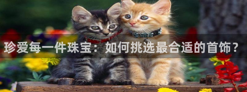 新宝5上70 667：珍爱每一件珠宝：如何挑选最合适的首饰？