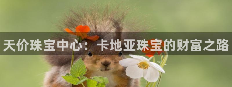 新宝5是什么样子的：天价珠宝中心：卡地亚珠宝的财富之路