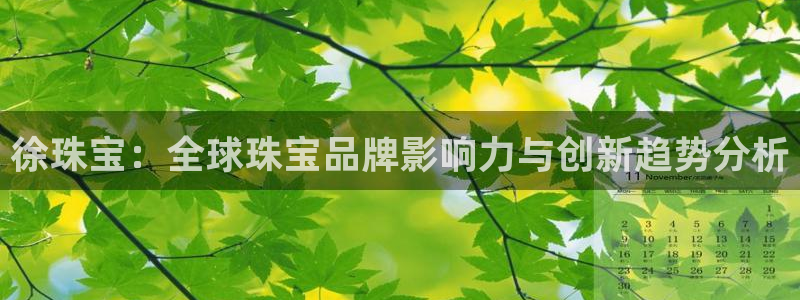 新宝5开好：徐珠宝：全球珠宝品牌影响力与创新趋势分析